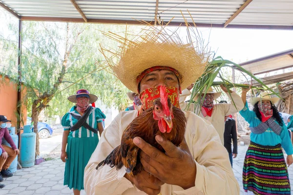 Traditional dances Mexico during the carnival Dance of the Jolos in Xayacatlan de Bravo Puebla Mexico
