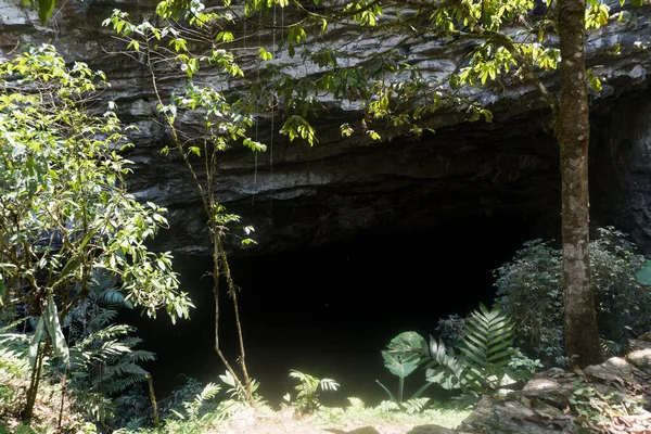 Närbild Skott Gruta Totomochapa Grottan Mexiko — Stockfoto