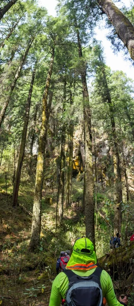 Een Groep Wandelaars Met Rugzakken Wandelend Door Bossen Van Iztaccihuatl — Stockfoto