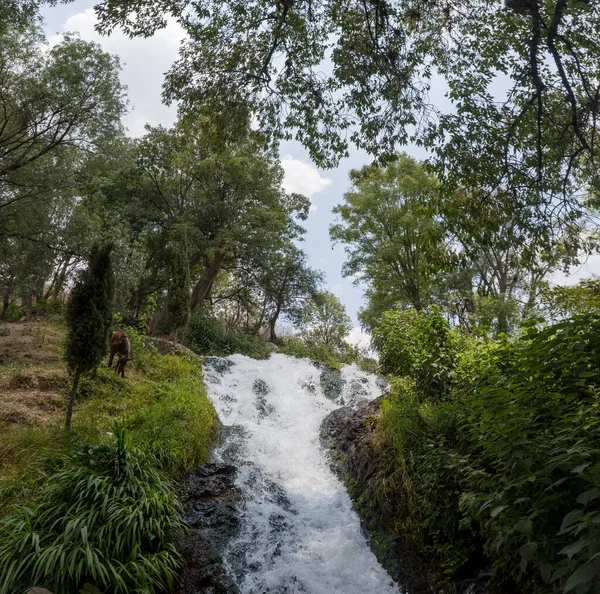 Vertical Shot San Pedro Atlixco Waterfall Mexico — Stock Photo, Image