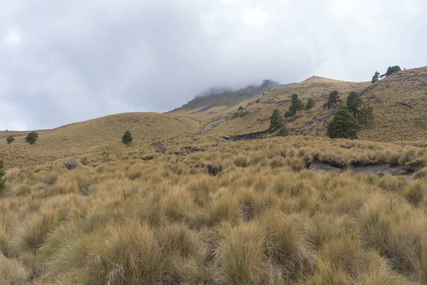 通往墨西哥Iztaccihuatl火山山顶的远足小径 — 图库照片
