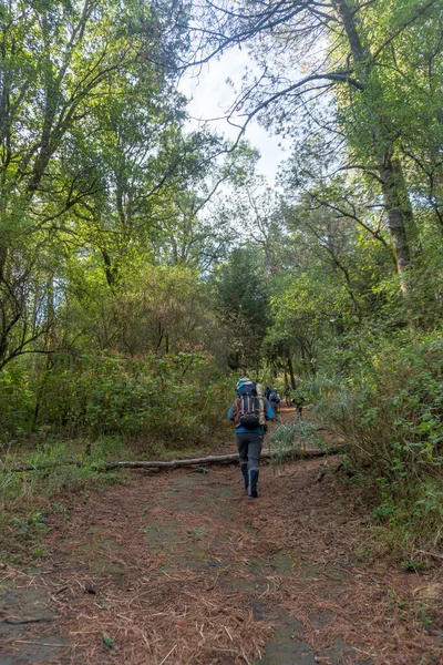 Grupo Turistas Caminando Subiendo Cima Montaña Volcánica Iztaccihuatl México — Foto de Stock