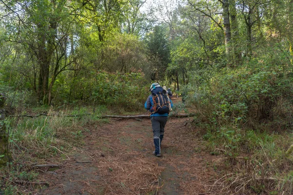 Eine Gruppe Von Touristen Beim Wandern Und Klettern Auf Den — Stockfoto