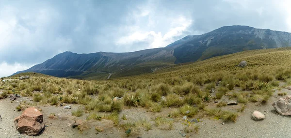 Floresta Gama Montanhas Vulcão Nevado Toluca — Fotografia de Stock