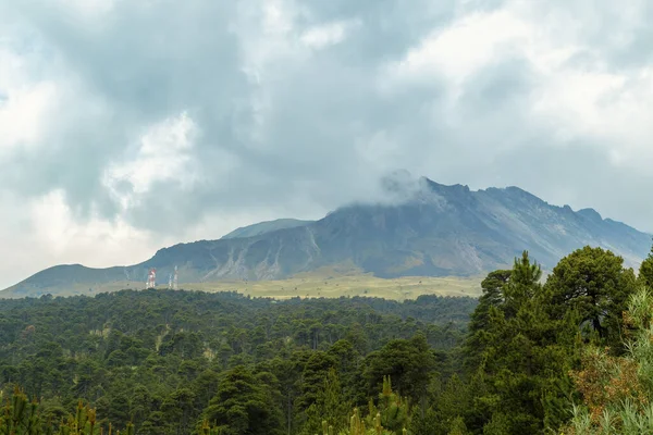 Bos Bergketen Van Vulkaan Nevado Toluca — Stockfoto