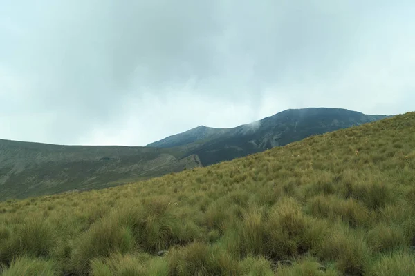 Bos Bergketen Van Vulkaan Nevado Toluca — Stockfoto