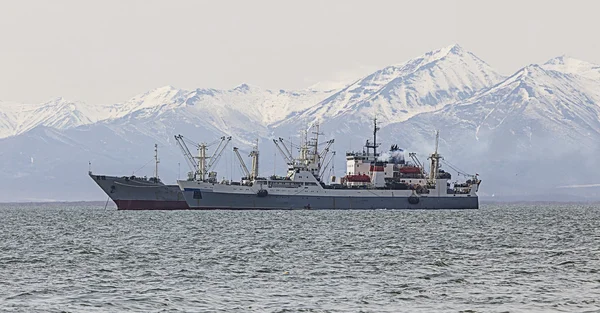 Fishing trawler in the Bay on the roads — Stock Photo, Image