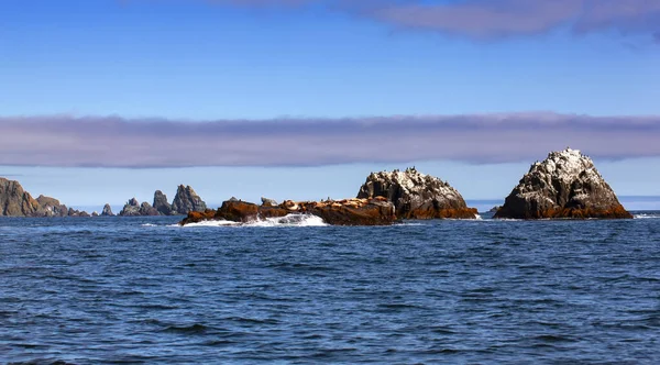 Камни Тихом Океане Морской Пейзаж Селективный Фокус — стоковое фото