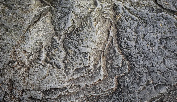 Textura de pedra cinzenta ou fundo. Foco seletivo — Fotografia de Stock