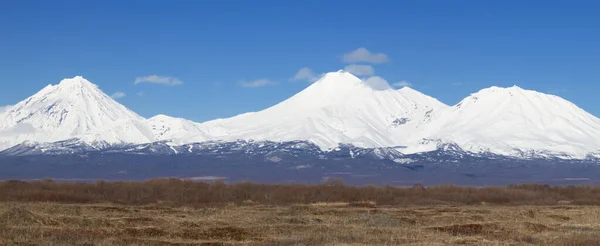 カムチャツカ半島のパノラマ コルヤツキー アヴァチンスキー コペルスキー火山 — ストック写真