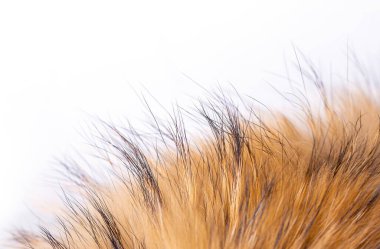 Kutup Tilkisi kürkü doku ya da arka plan olarak. Seçici odak