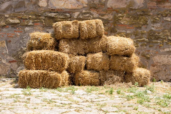 Skördat hö för djurfoder vid stenmuren — Stockfoto