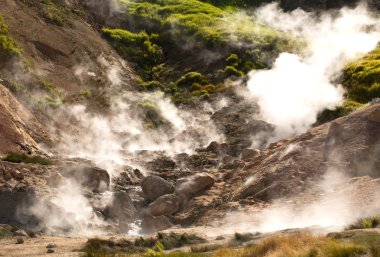 Bir yanardağ üzerinde Geysers
