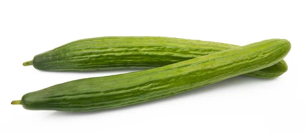 Fresh cucumber — Stock Photo, Image