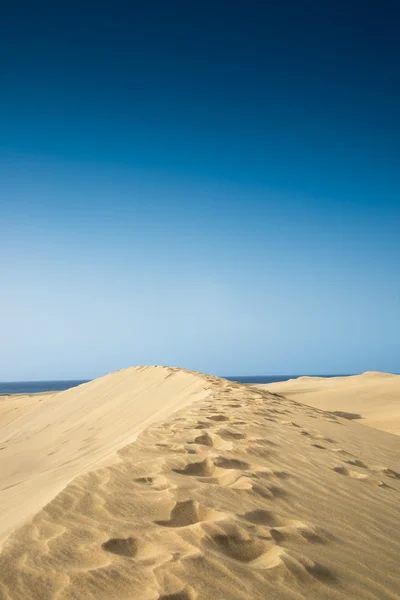 Maspalomas sanddyner Royaltyfria Stockbilder