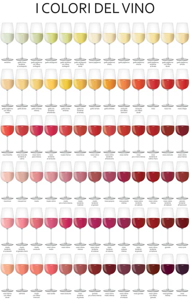 Τα χρώματα του οίνου — Φωτογραφία Αρχείου