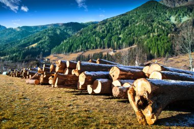 dağ manzarası ile wood