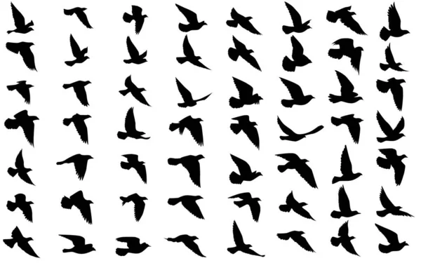 Vliegende Vogels Silhouetten Geïsoleerde Achtergrond Vector Illustratie Geïsoleerde Vogels Vliegen — Stockvector