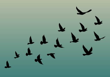 Renk eğiminde uçan kuşlar siluetleri. Vektör çizimi. İzole kuş uçuşu. dövme tasarımı.