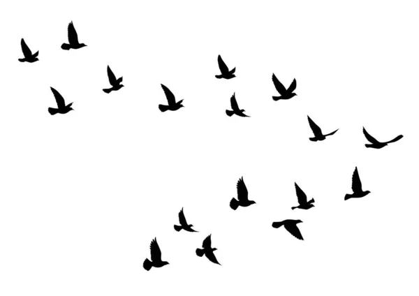 Sílhuetas Aves Voadoras Fundo Branco Ilustração Vetorial Pássaro Isolado Voando —  Vetores de Stock