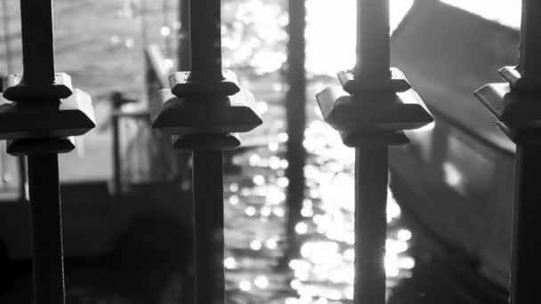 濁った水面を背景にした鉄柵の柱 — ストック動画
