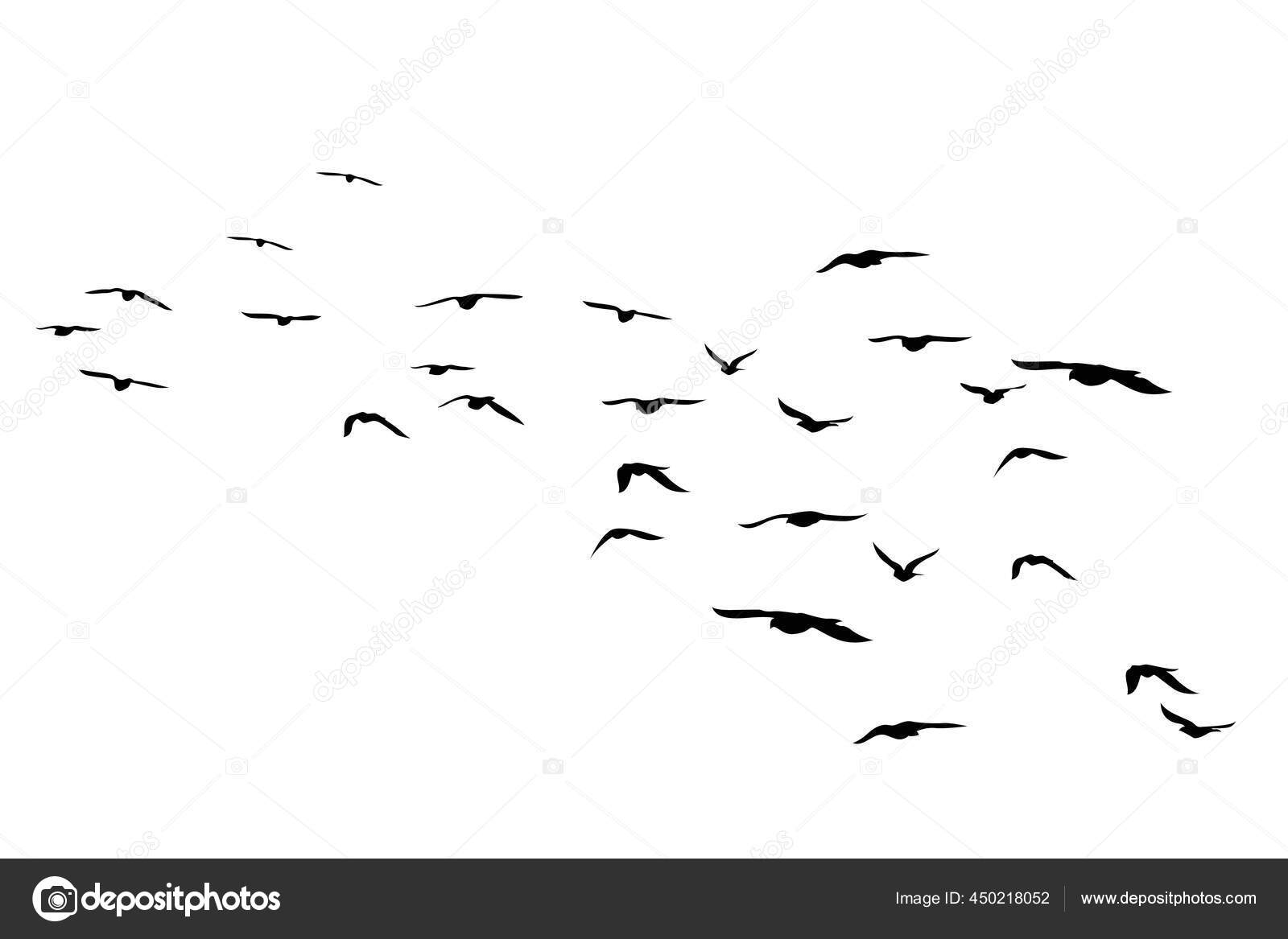 白い背景に空飛ぶ鳥のシルエット ベクトルイラスト 隔離された鳥が飛んでる タトゥーデザイン ストックベクター C Seemalotion