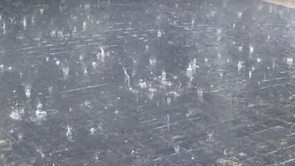 Gotas Chuva Caem Numa Poça Chuva Caindo Durante Uma Tempestade — Vídeo de Stock