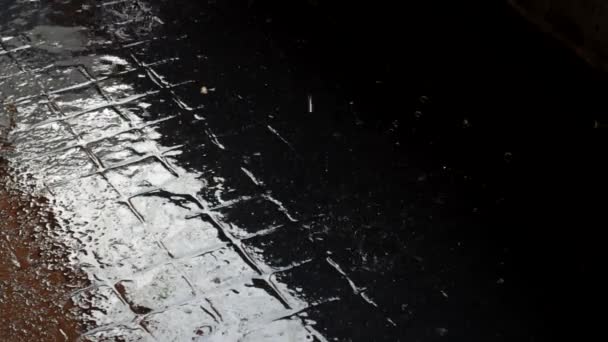 Regentropfen Fallen Eine Pfütze Regen Fällt Während Eines Sturms — Stockvideo