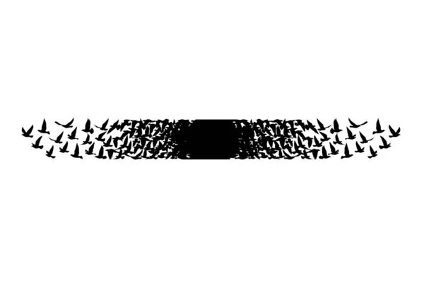 Vliegende Vogels Silhouetten Witte Achtergrond Vector Illustratie Geïsoleerde Vogels Vliegen — Stockvector