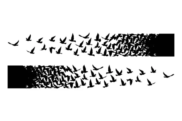 Fliegende Vögel Silhouetten Auf Weißem Hintergrund Vektorillustration Vereinzelte Vogelflüge Tätowierung — Stockvektor