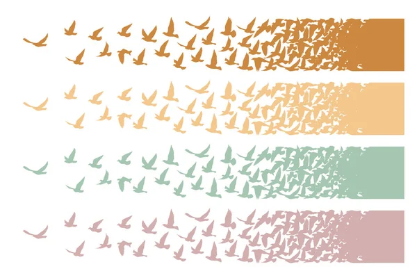 Vliegende Vogels Silhouetten Witte Achtergrond Vector Illustratie Geïsoleerde Vogels Vliegen — Stockvector