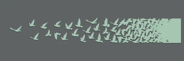 Siluetas Aves Voladoras Sobre Fondo Blanco Ilustración Vectorial Aves Aisladas — Archivo Imágenes Vectoriales