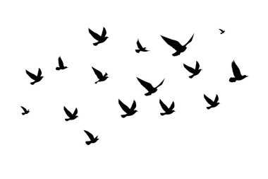 Uçan kuşlar siluet desenli duvar kağıtları. Vektör çizimi. İzole kuş uçuşu. dövme tasarımı. Kart, paket ve duvar kağıdı şablonu.