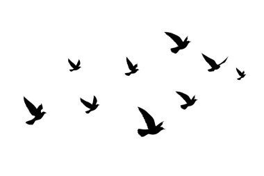 Uçan kuşlar siluet desenli duvar kağıtları. Vektör çizimi. İzole kuş uçuşu. dövme tasarımı. Kart, paket ve duvar kağıdı şablonu.
