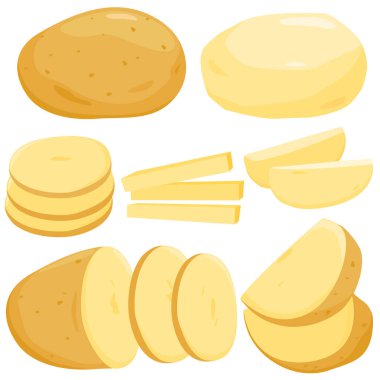 Whole, sliced and peeled potatoes on white background. Sliced raw potatoes ingredients for cooking. Potatoes vegetable products, chopped and peeled potatoes. Vector illustration.
