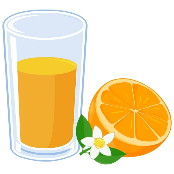 Ein Glas Orangensaft Und Orangenfrüchte Vektorillustration — Stockvektor