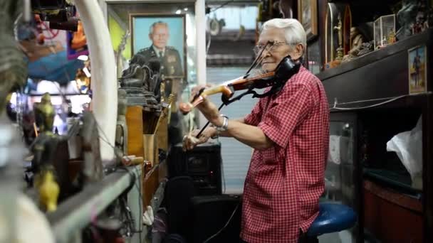 Yaşlı adam oynamak güzel keman — Stok video