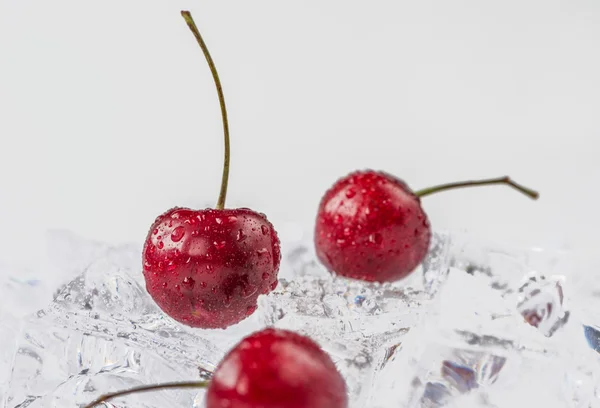 Group of fresh cherry in stuido shot — Stock Photo, Image