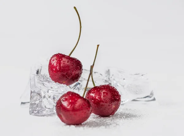 Group of fresh cherry in stuido shot — Stock Photo, Image