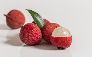 Linchee Studio Delucious friut vurdu