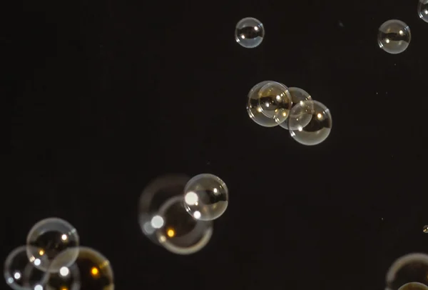 Piękny bubble latające w studio — Zdjęcie stockowe