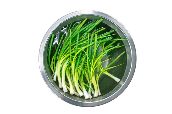 Isolated Spring Onions Scallions Soaked Water Stainless Steel Bowl Top — Stock Photo, Image