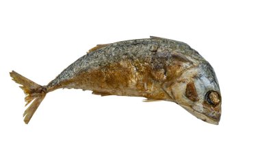 Beyaz arka planda kızartılmış uskumru, kızarmış uskumru, çıtır çıtır derisi..