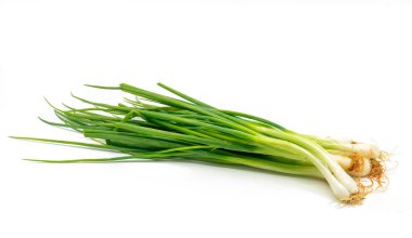 Organik taze soğan veya taze soğan veya kökleri beyaz arkaplanda olan soğan..