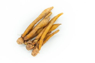 Taze parmak kökünü ya da beyaz arka planda galingale 'i kapatın. Tayland dilinde bitki kökü ya da Krachai 'nin üst görünüm resmi.