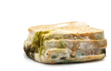 Ekmek küfü dolu eski ekmek yığını, beyaz zemin üzerindeki küflü ekmek kapatın.