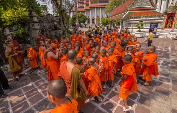 Buddhist novice — Stock Photo, Image