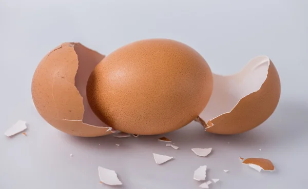 Magic egg — Stock Photo, Image