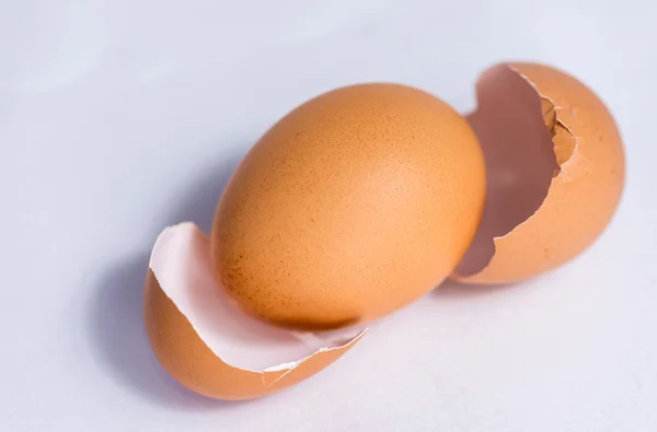 Egg and shell — Stock Photo, Image