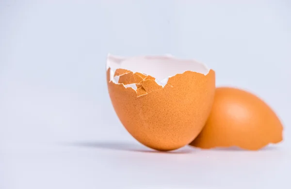 Egg shell — Stock Photo, Image